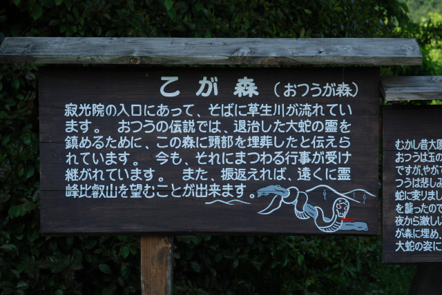 京都大原の五月 05