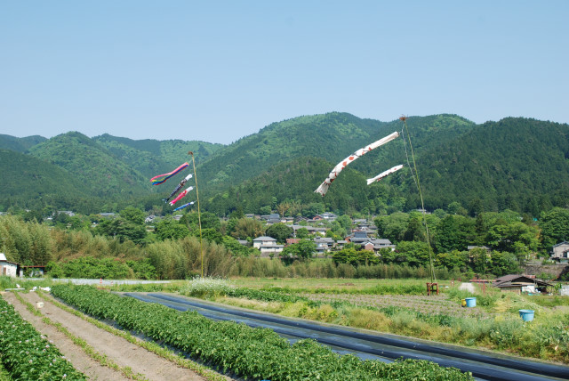 京都大原の五月 10
