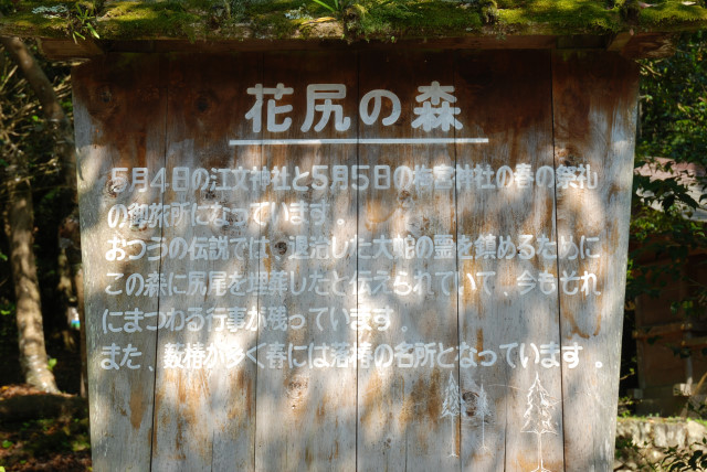 京都大原の五月 12