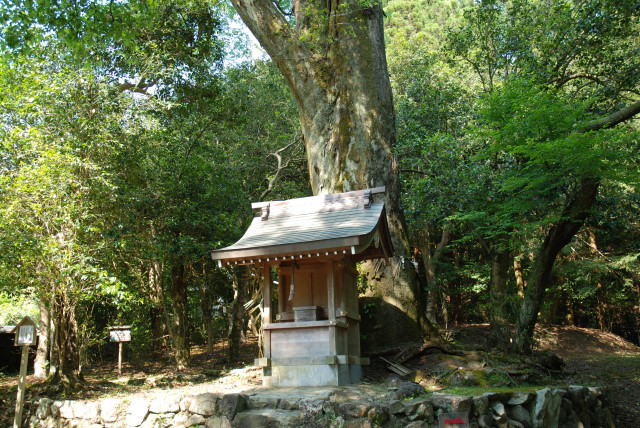 京都大原の五月 13