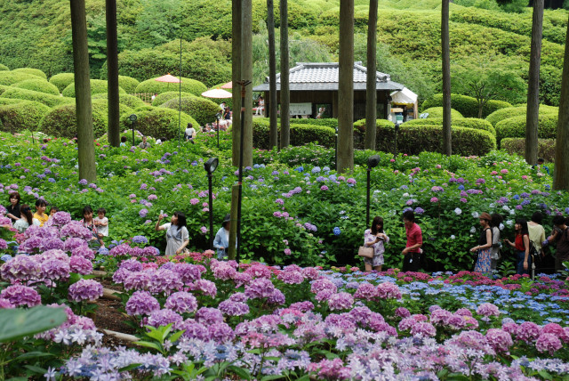 西国十番三室戸寺 02