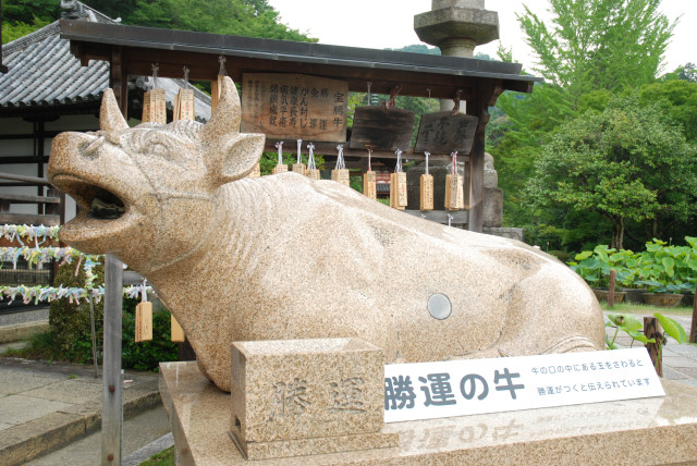 西国十番三室戸寺 07