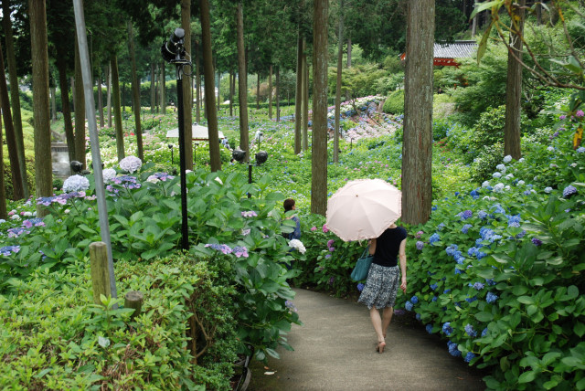 西国十番三室戸寺 12