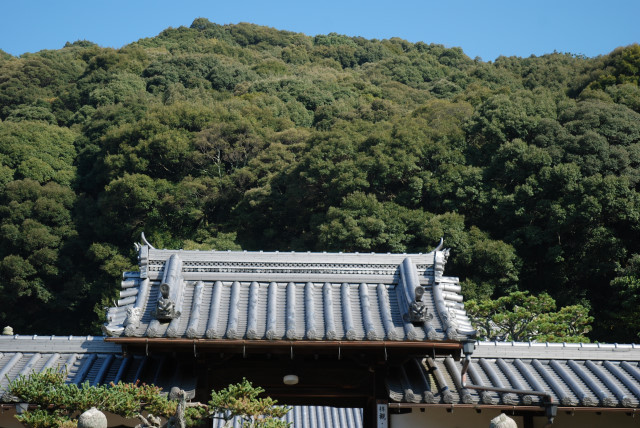 宇治興聖寺 04