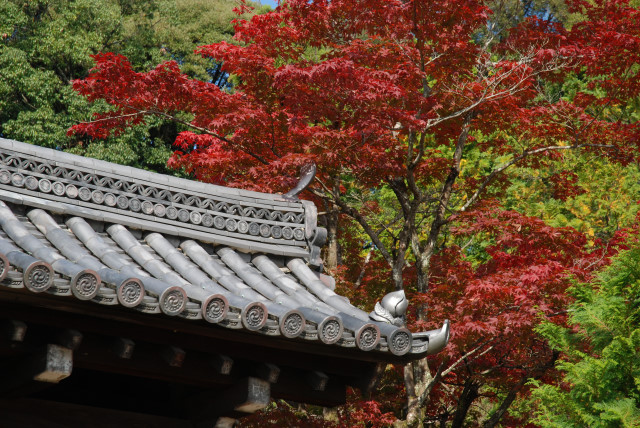 宝塔寺参拝 10