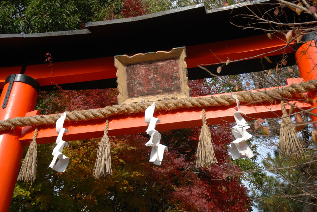 宇治上神社 02