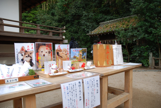 宇治上神社 07