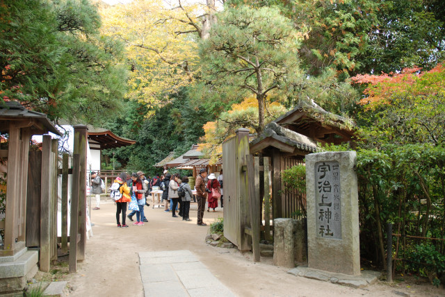 宇治上神社 11