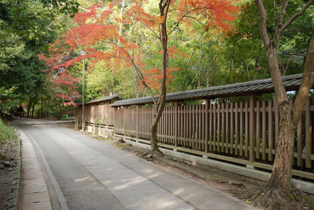 宇治上神社 12