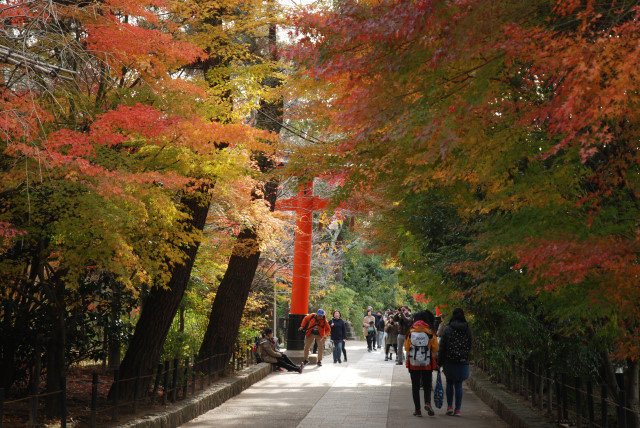 宇治上神社 13