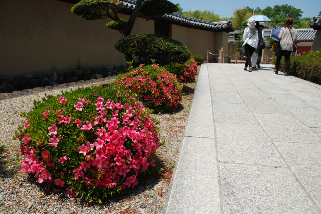 法隆寺参拝 13