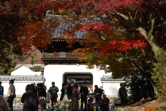 晩秋の興聖寺 01