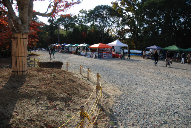 晩秋の興聖寺 02