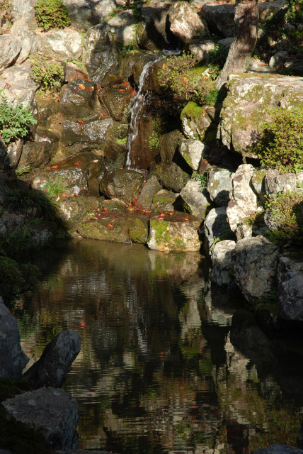 晩秋の興聖寺 06