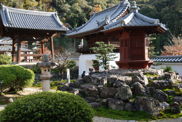 晩秋の興聖寺 16
