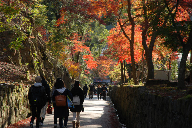 晩秋の興聖寺 20