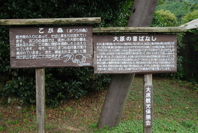 京都大原の初秋 08