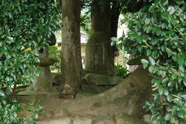 京都大原の初秋 11