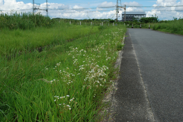 平城宮跡 06