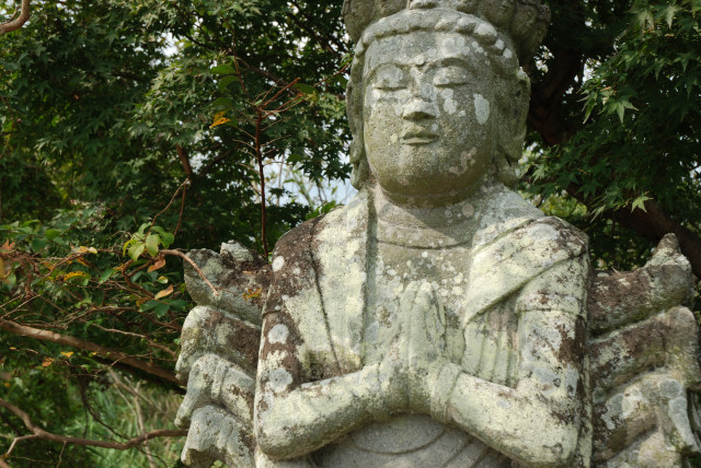 嵐山から広沢の池へ 10