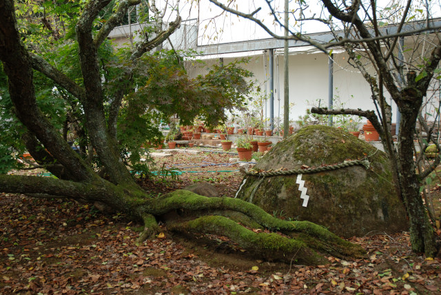 松尾寺 15